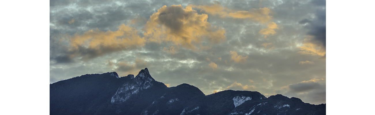 MBL_La dent du chat en tant qu'objet dynamique - 1